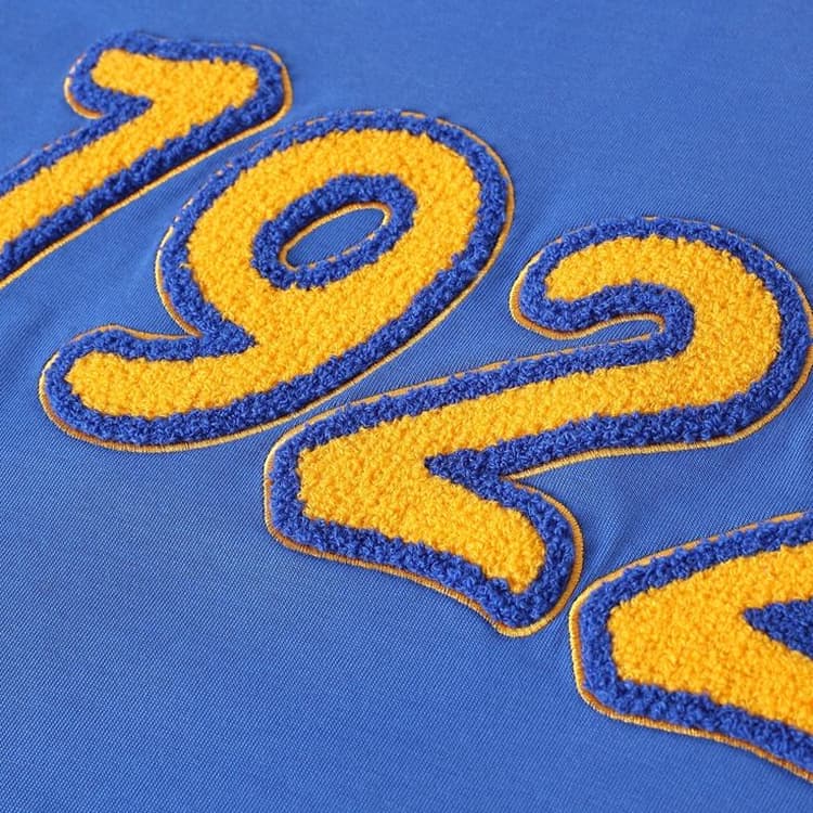 Chenille Embroidery Chenille Embroidery